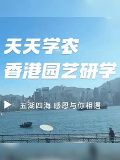 与香港园艺学会联合举办香港园艺研学，专业园境师带队讲解。