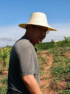 农业人叶涛，50多岁通讯人跨界搞农业，他要用1000万打造一个梦。